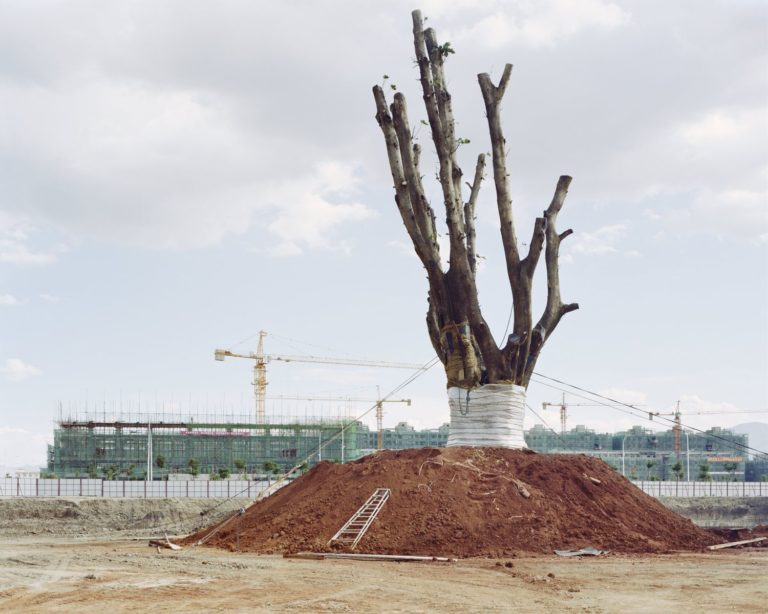 Frank, Dali, China, June, 2013. From Forest © Yan Wang Preston